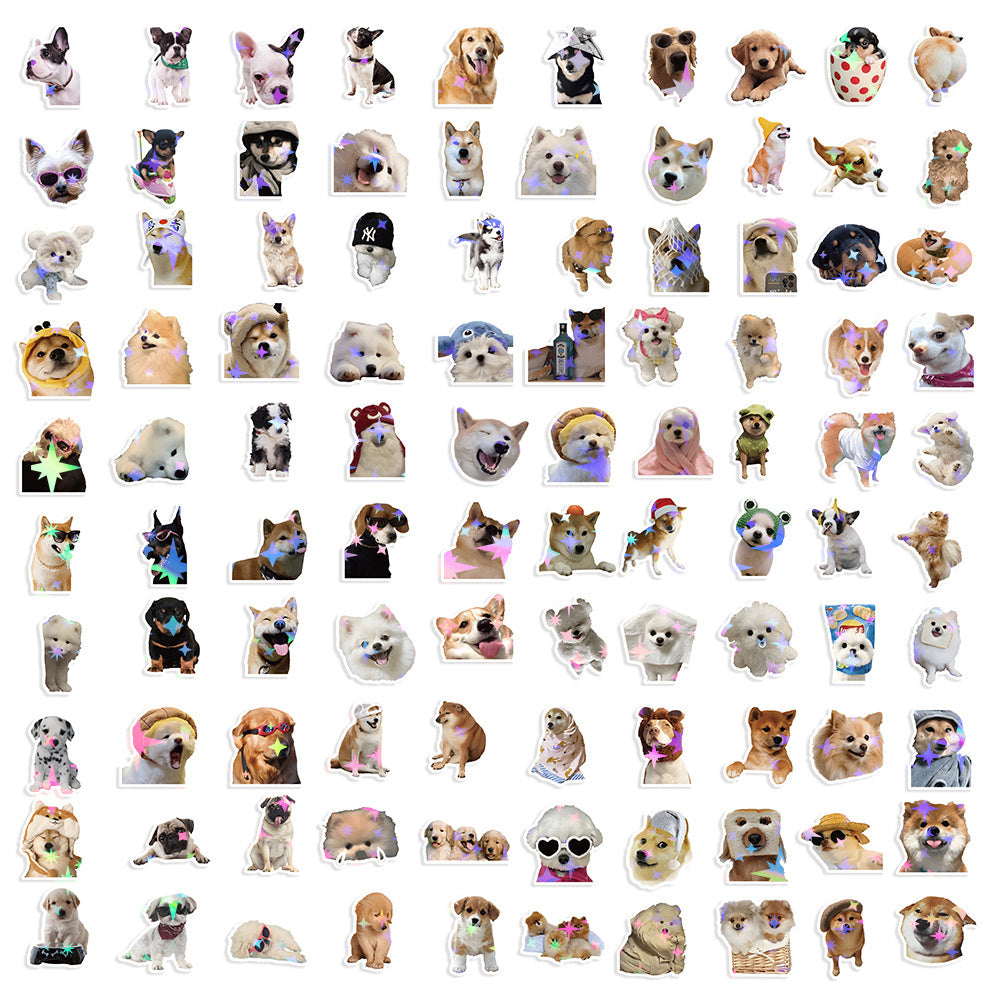 19ba01c2-aac5-4d96-ba5b-f0db4bb30ab5