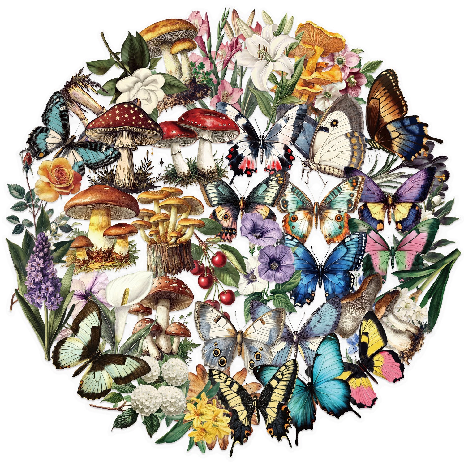 50pcs Transparent Vintage Butterfly & Plant Stickers | Waterproof PET Stickers for Journals, Notebooks, Cups & Guitars Kawaii Stickers