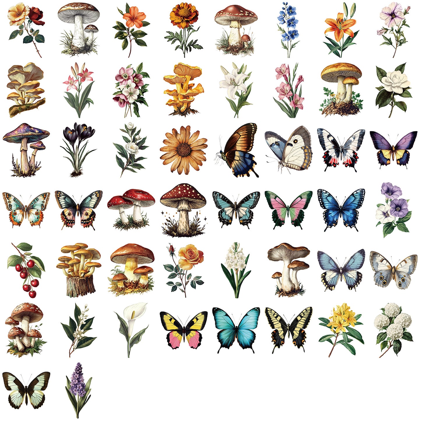 50pcs Transparent Vintage Butterfly & Plant Stickers | Waterproof PET Stickers for Journals, Notebooks, Cups & Guitars Kawaii Stickers