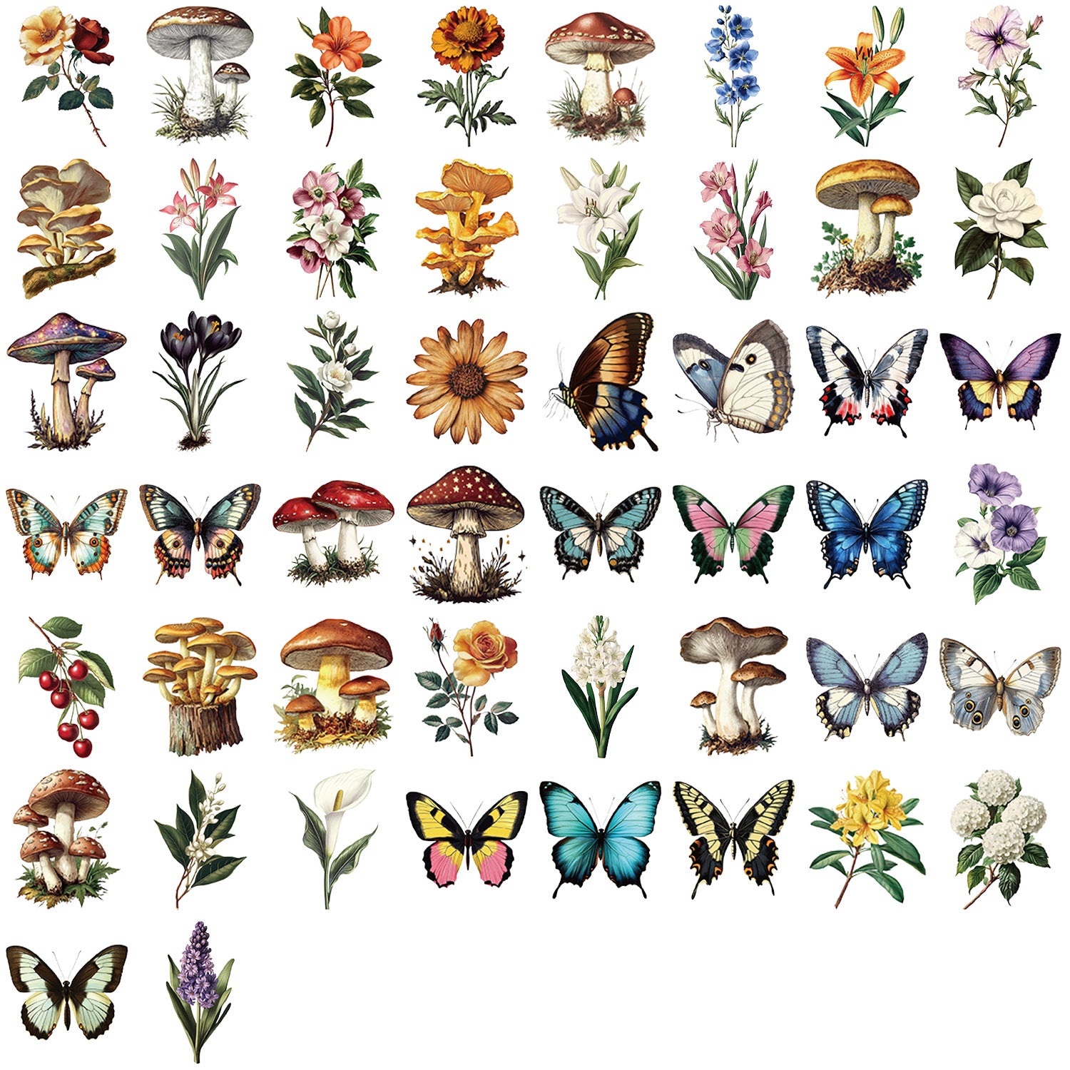 50pcs Transparent Vintage Butterfly & Plant Stickers | Waterproof PET Stickers for Journals, Notebooks, Cups & Guitars Kawaii Stickers