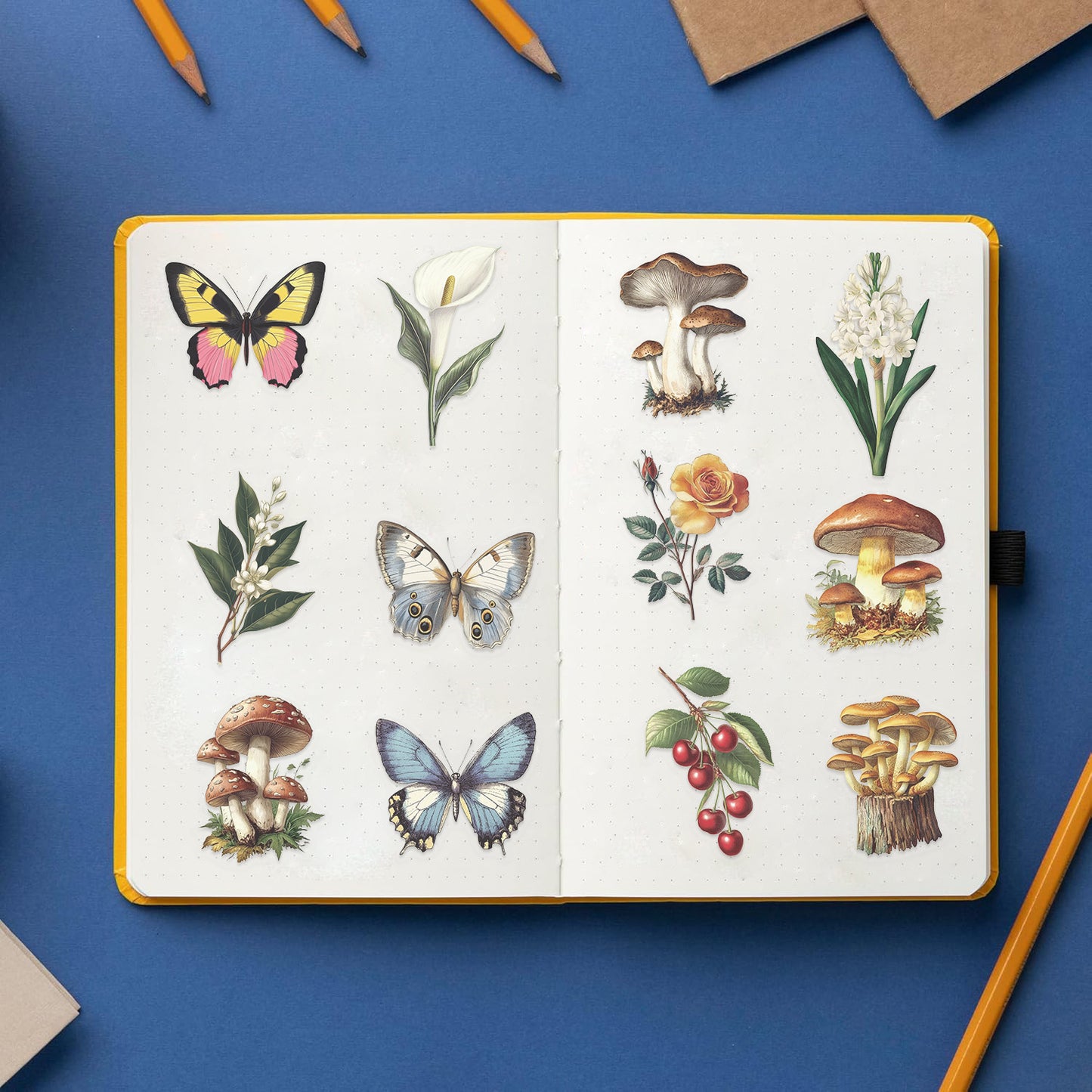 50pcs Transparent Vintage Butterfly & Plant Stickers | Waterproof PET Stickers for Journals, Notebooks, Cups & Guitars Kawaii Stickers
