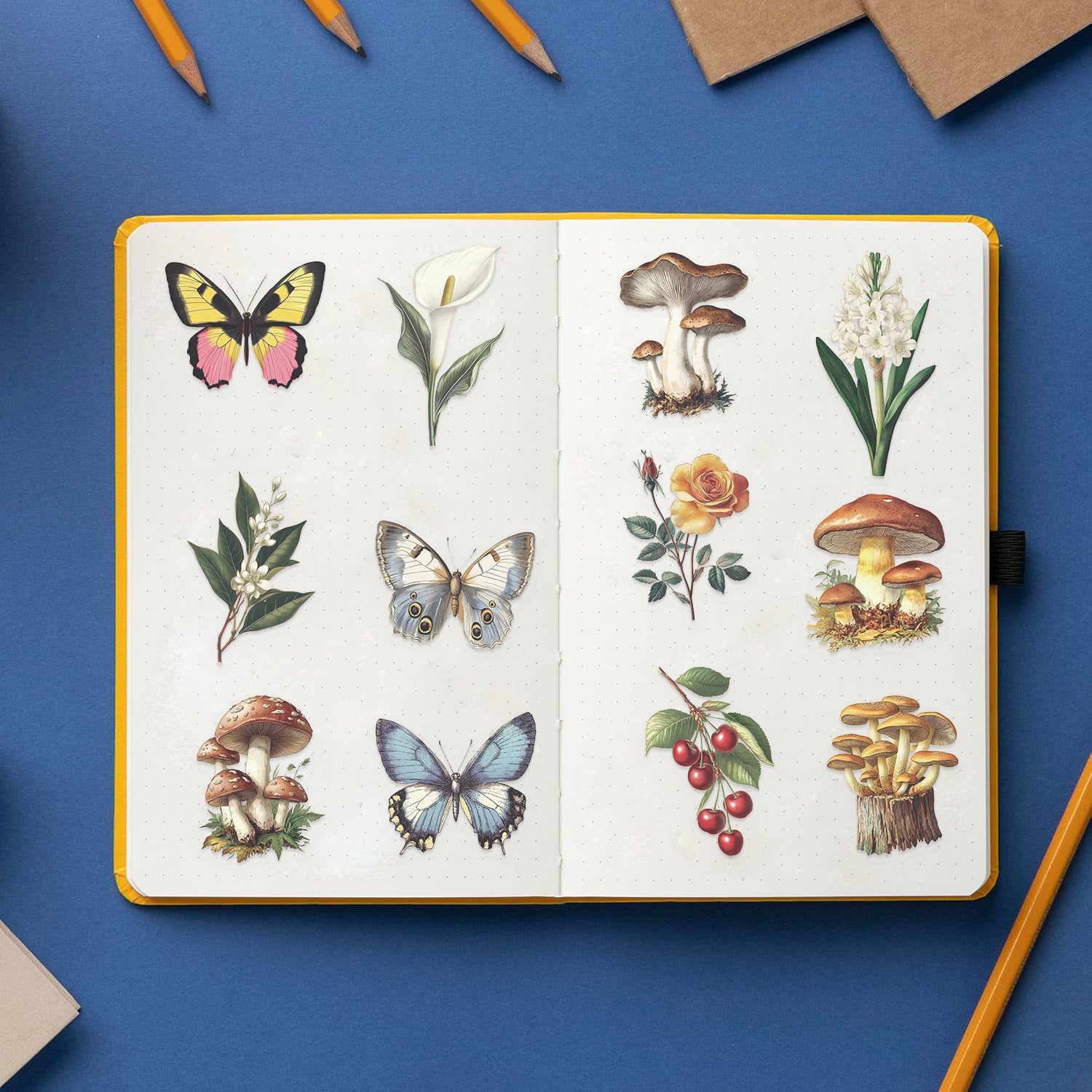 50pcs Transparent Vintage Butterfly & Plant Stickers | Waterproof PET Stickers for Journals, Notebooks, Cups & Guitars Kawaii Stickers