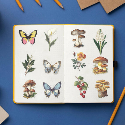 50pcs Transparent Vintage Butterfly & Plant Stickers | Waterproof PET Stickers for Journals, Notebooks, Cups & Guitars Kawaii Stickers