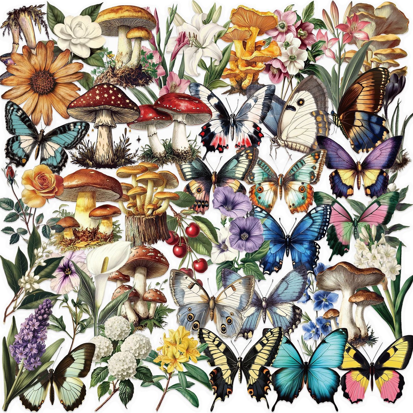 50pcs Transparent Vintage Butterfly & Plant Stickers | Waterproof PET Stickers for Journals, Notebooks, Cups & Guitars Kawaii Stickers